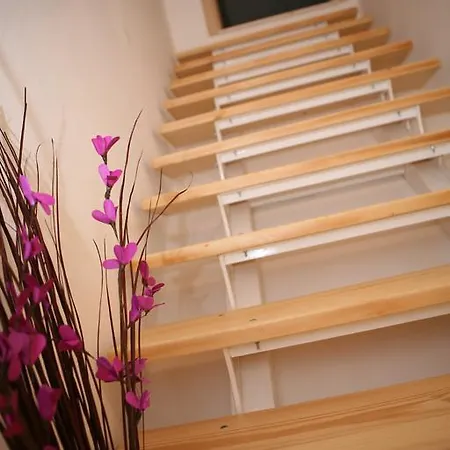 Sanja Apartment *
