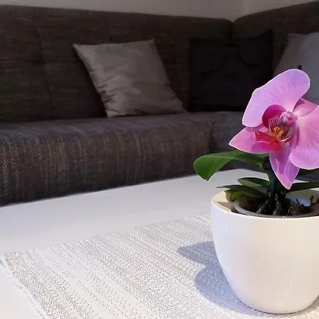 Apartament Sanja *